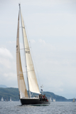 whyw13 sun 0906